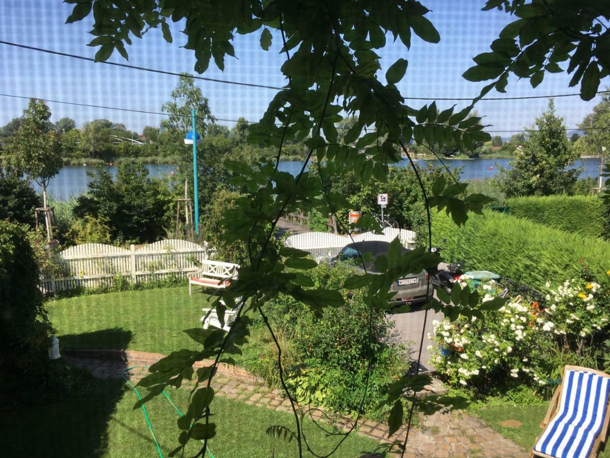 Alte Donau Appartement